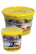 APETIT